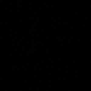 Meet your Posher, Dennis